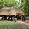 ZMB EAS SouthLuangwa 2016DEC10 WildlifeCamp 008  The pool and bar area of the our camp at the    Wildlife Camp Zambia  . : 2016, 2016 - African Adventures, Africa, Date, December, Eastern, Mfuwe, Month, Places, South Luangwa, Trips, Wildlife Camp, Year, Zambia